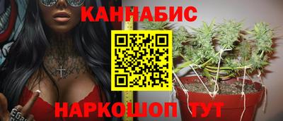 прущие крисы Аргун