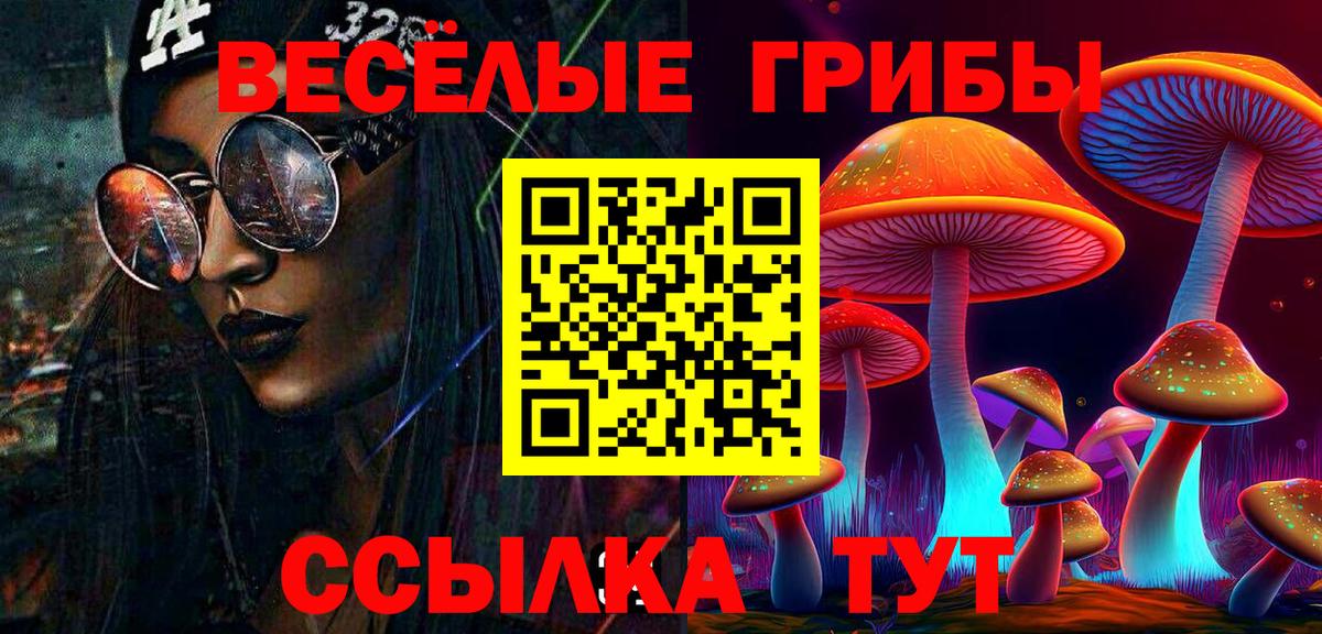 Псилоцибиновые грибы мухоморы Волжский